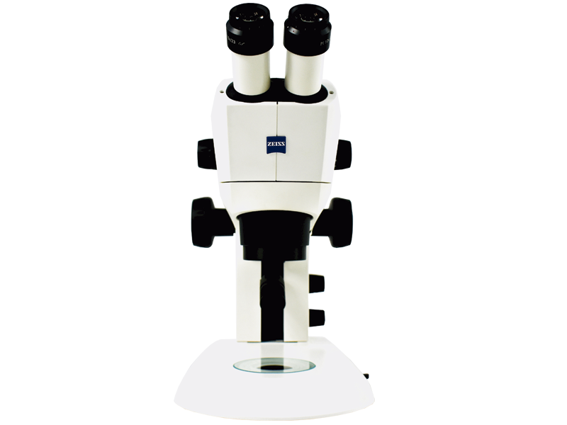 ESTEROMICROSCOPIO STEMI 305 BINOCULAR   CARL ZEISS