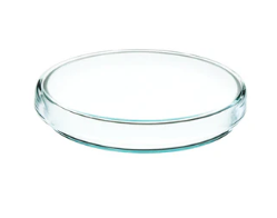 CAJA PETRI COMPLETA DE VIDRIO 100 X 15MM (EISCO)