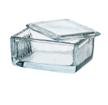 CAJA DE TINCION DE VIDRIO 10 LAMINILLAS (EISCO)